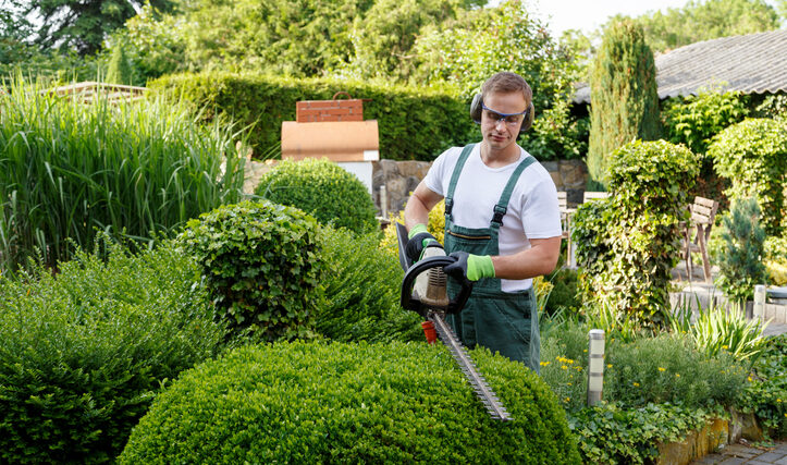 Gardener at gardening