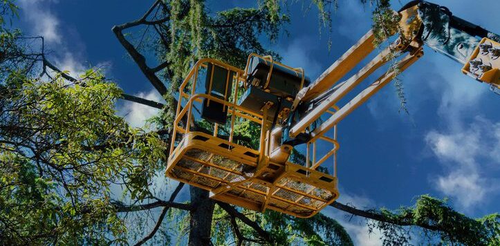 Lifting platform used to inspect trees