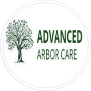 Advanced Arbor Care Logo